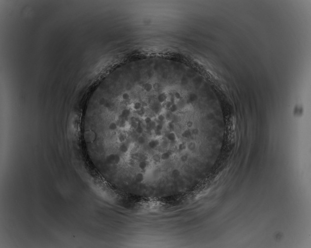 X0000100760695200806191207