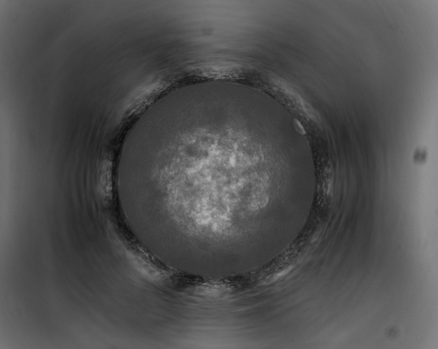 X0000100760696200806191207