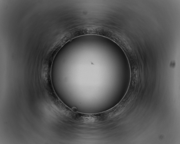 X0000100760698200806191207