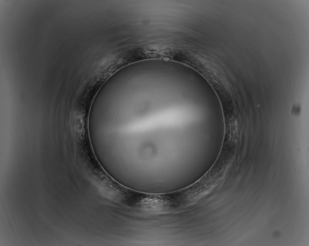 X0000100760699200806191207