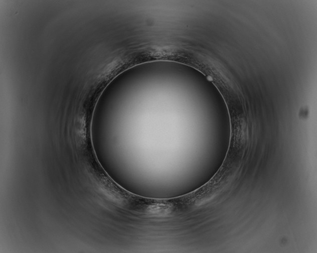 X0000100760700200806191207