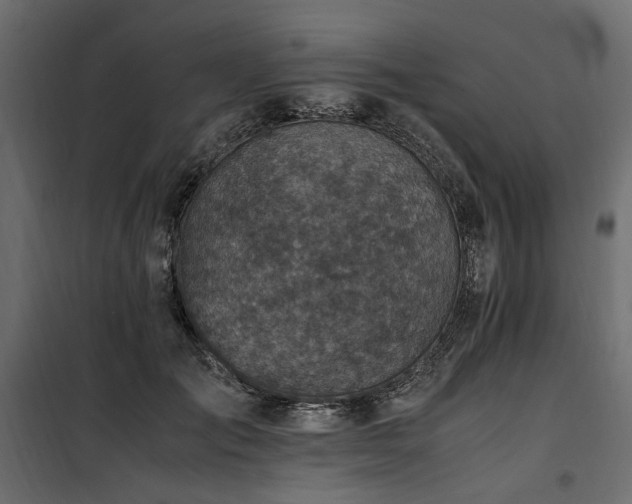 X0000100760701200806191207