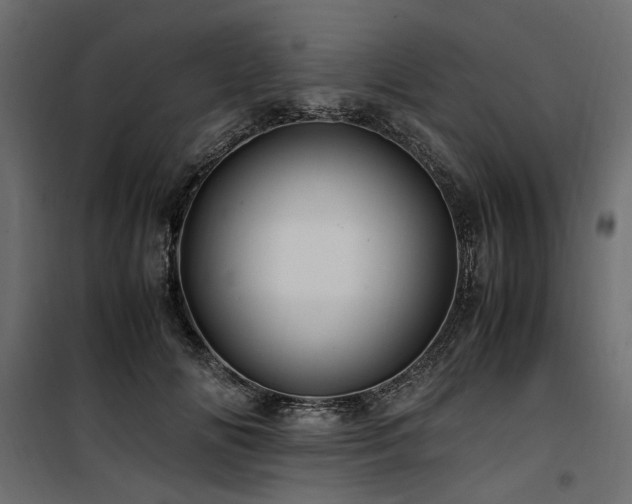 X0000100760702200806191207