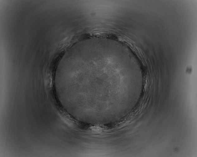 X0000100760703200806191207