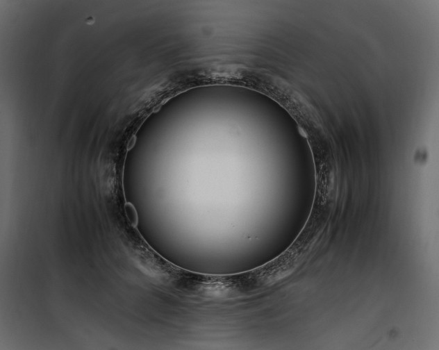 X0000100760704200806191207