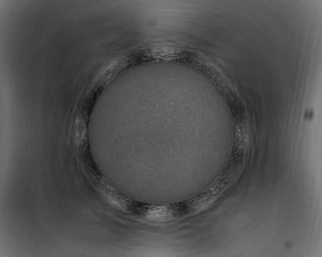 X0000100760705200806191207