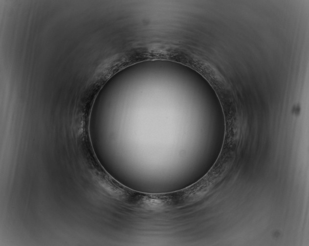 X0000100760706200806191207