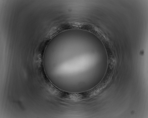 X0000100760707200806191207