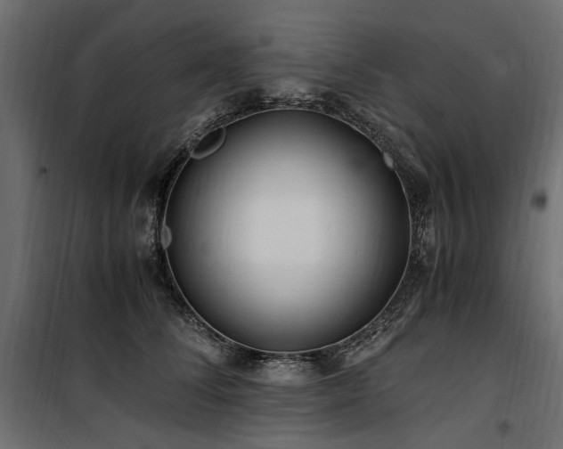 X0000100760708200806191207