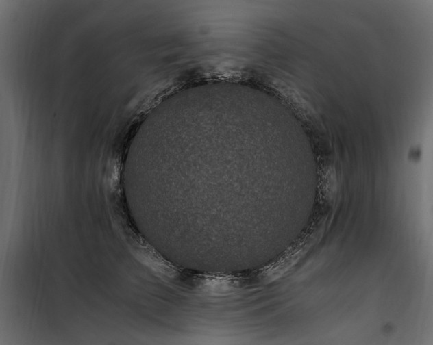 X0000100760709200806191207