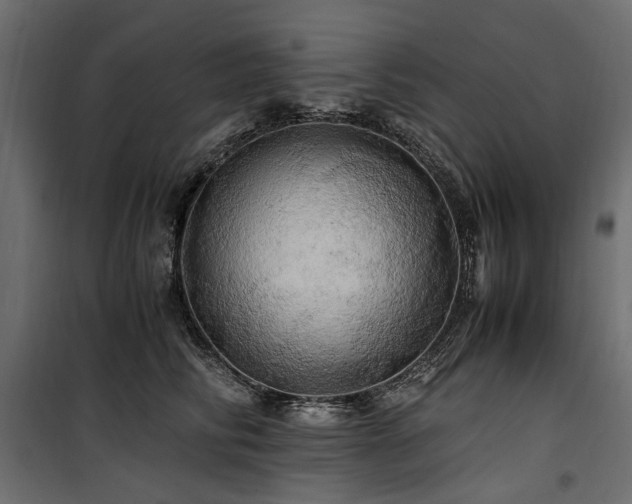 X0000100760710200806191207