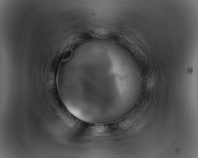 X0000100760711200806191207