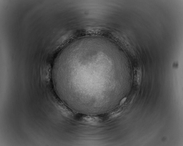 X0000100760712200806191207