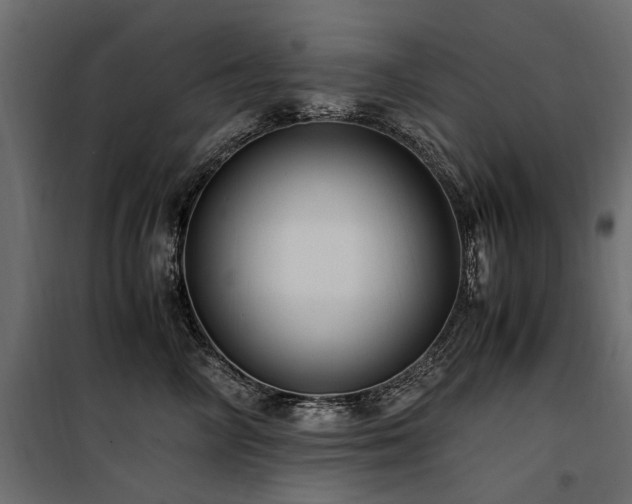 X0000100760714200806191207