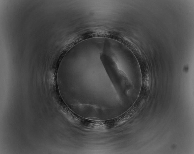 X0000100760715200806191207