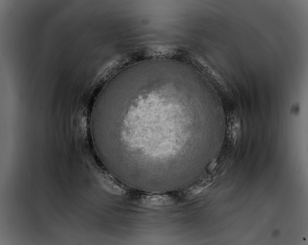 X0000100760716200806191207