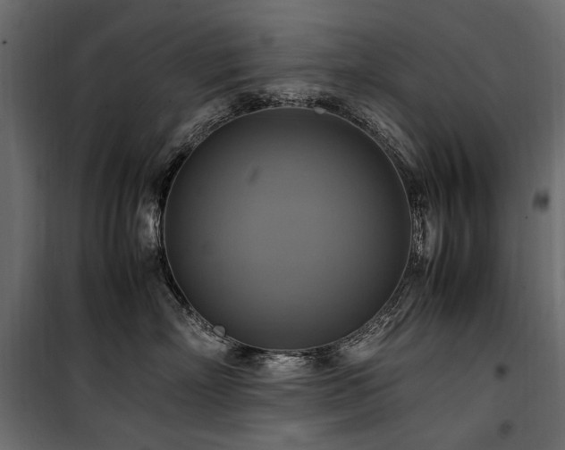 X0000100760718200806191207