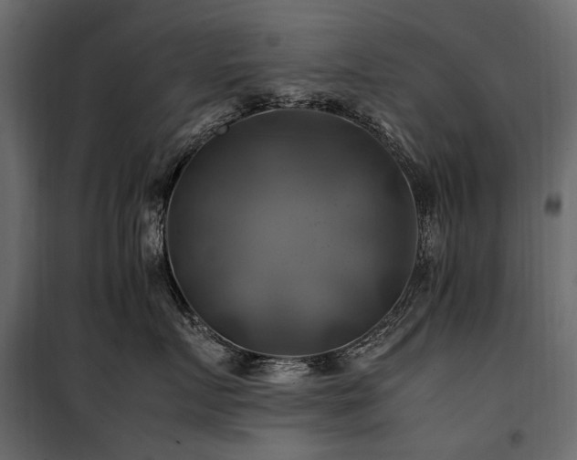 X0000100760719200806191207