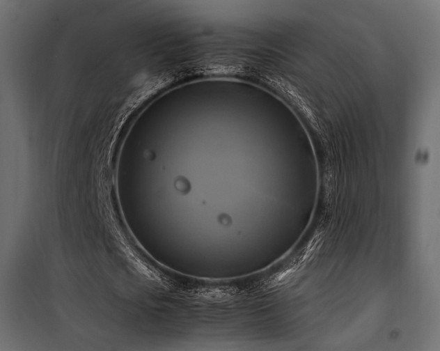 X0000100760721200806191206