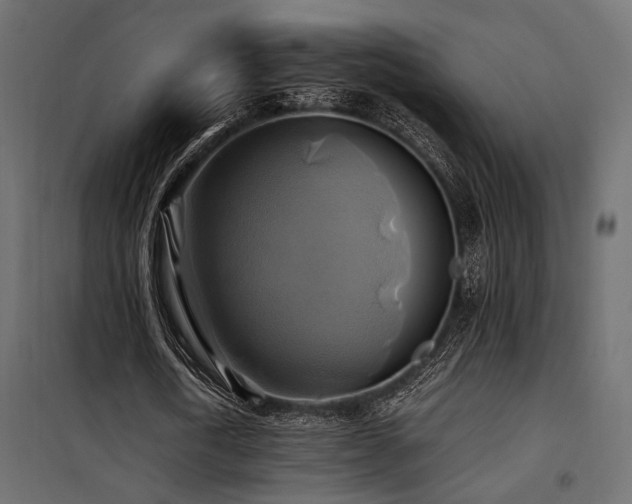 X0000100760722200806191206