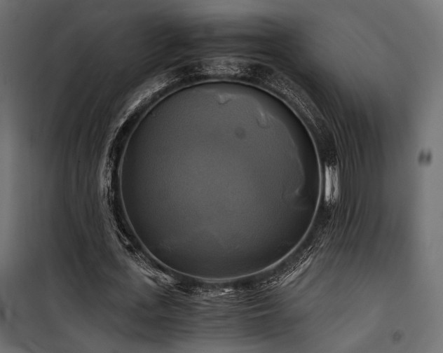 X0000100760723200806191206