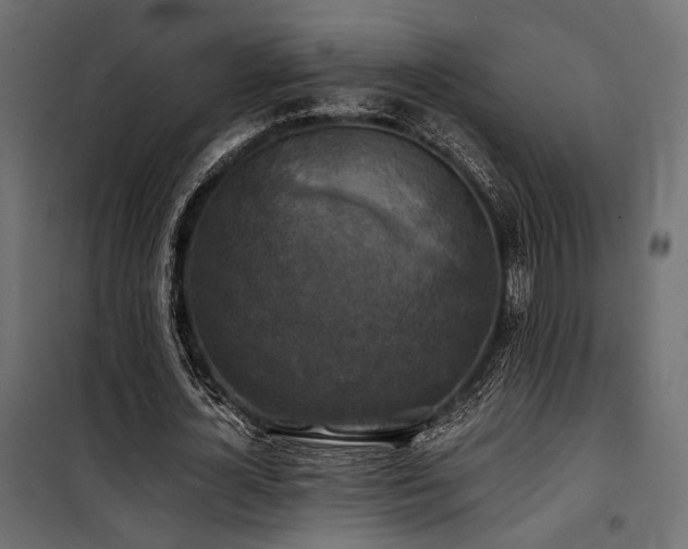 X0000100760724200806191206