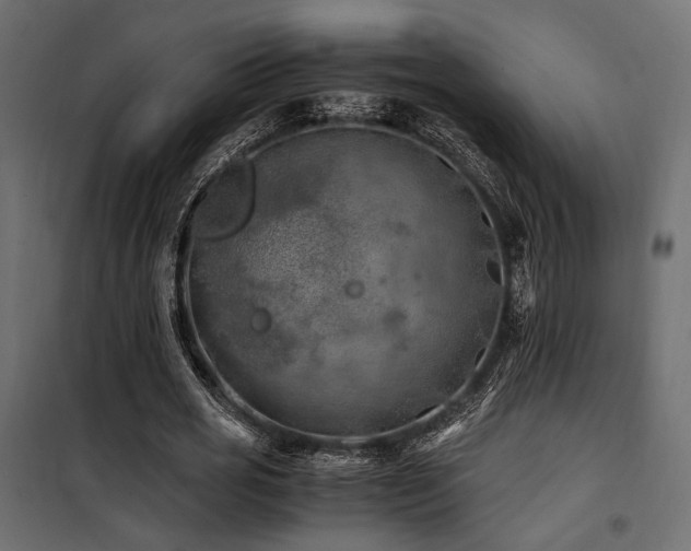 X0000100760725200806191206