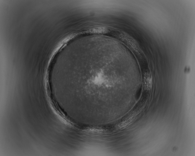 X0000100760726200806191206