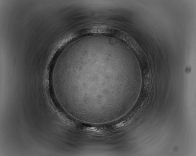 X0000100760727200806191206