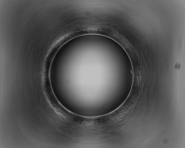 X0000100760728200806191206