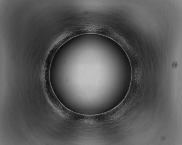 X0000100760730200806191207