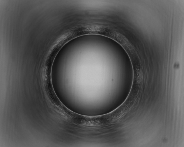 X0000100760731200806191207