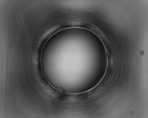 X0000100760732200806191207