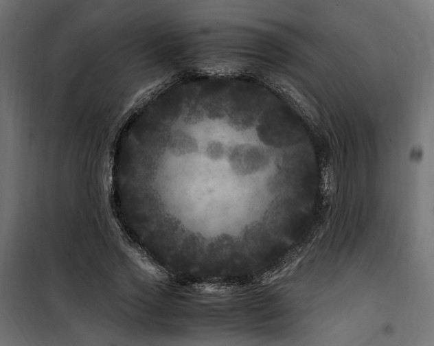 X0000100760733200806191207