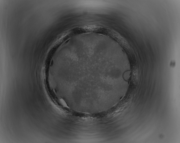 X0000100760734200806191207