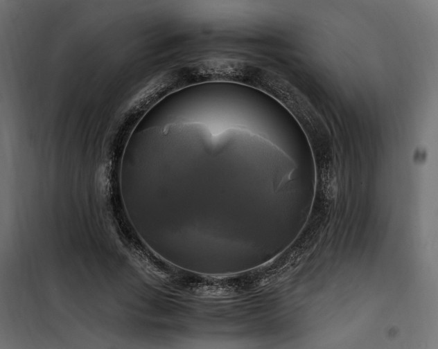 X0000100760735200806191207