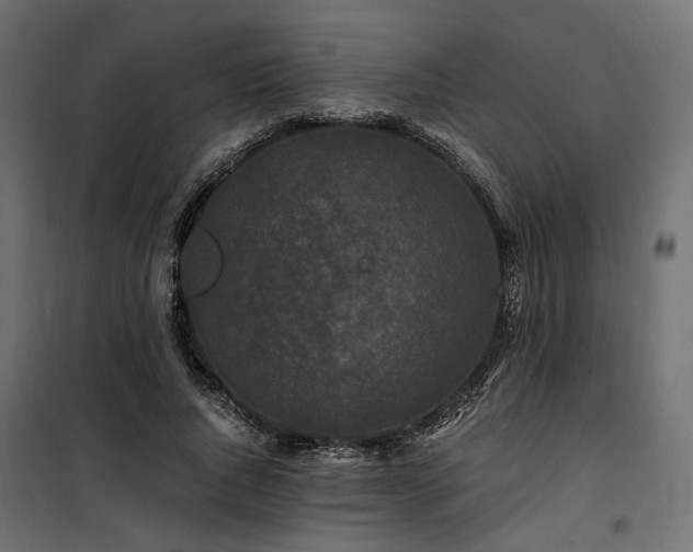 X0000100760736200806191207