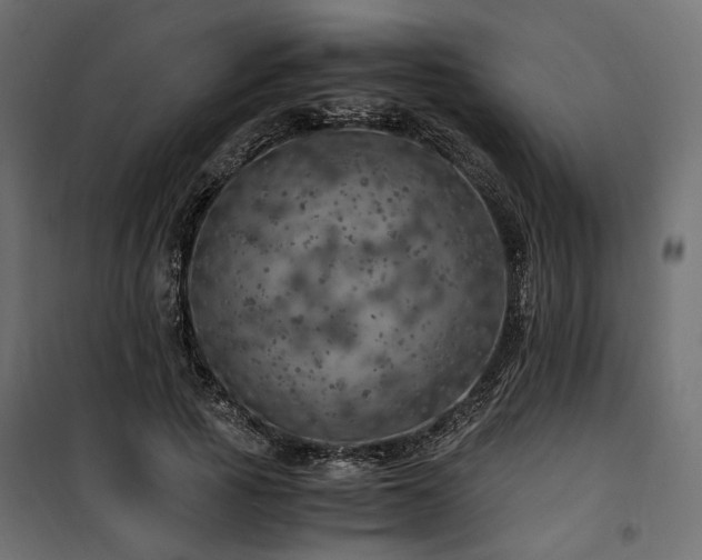 X0000100760737200806191207