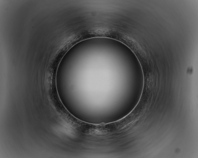 X0000100760739200806191207