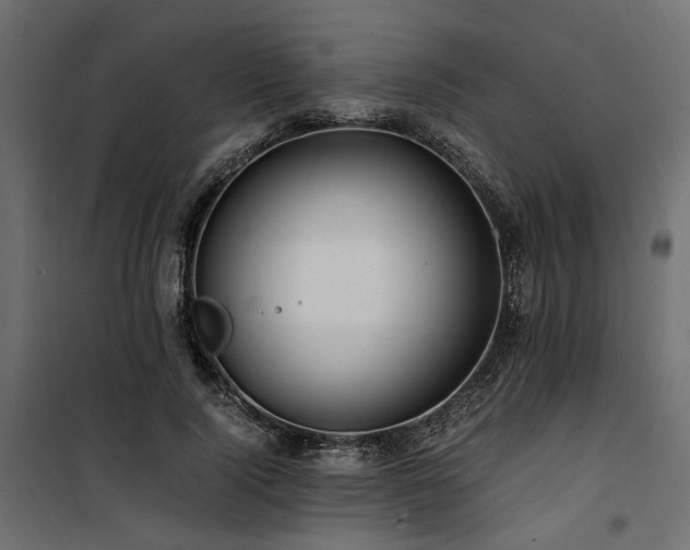 X0000100760740200806191207