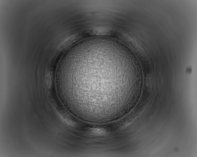 X0000100760741200806191207