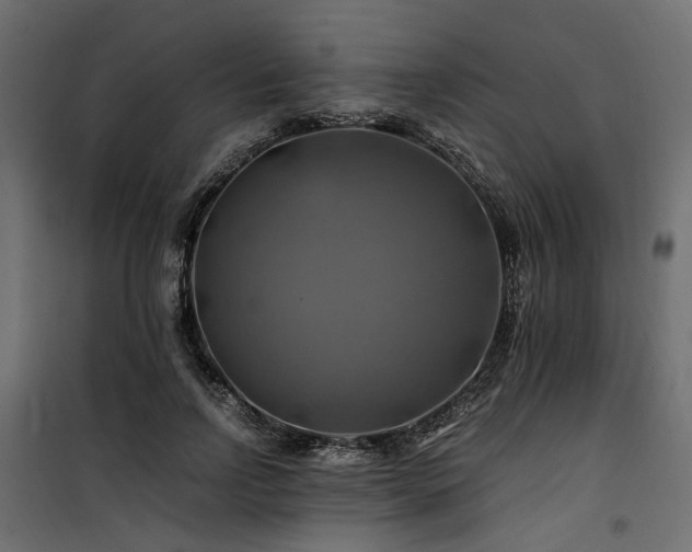 X0000100760742200806191207