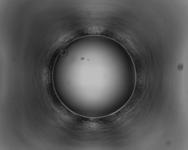 X0000100760743200806191207