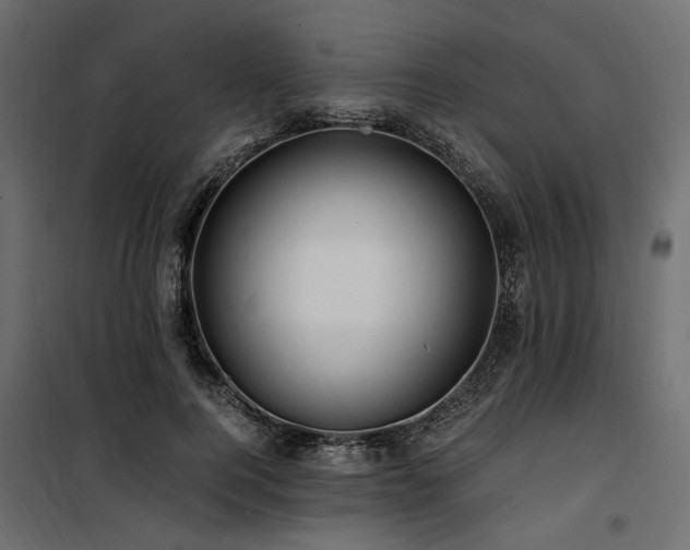 X0000100760744200806191207