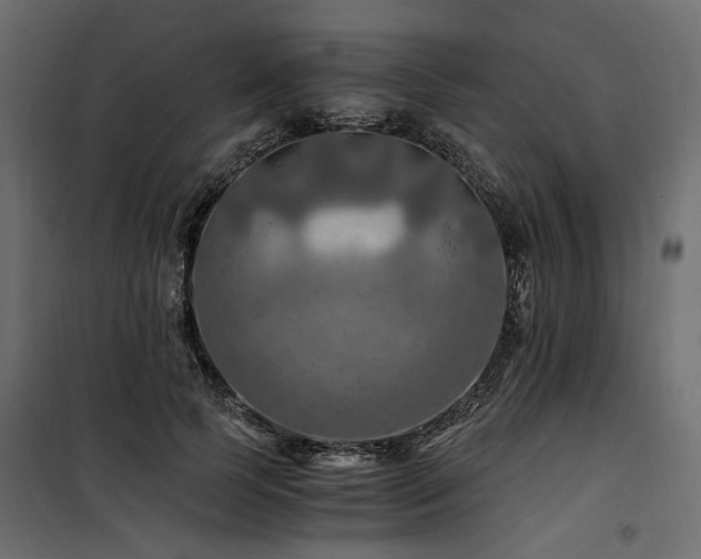 X0000100760745200806191207