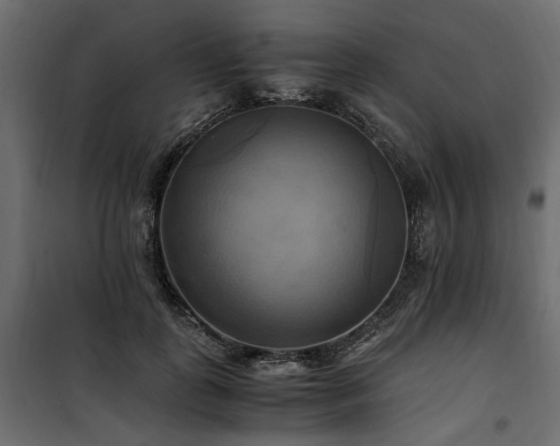 X0000100760747200806191207