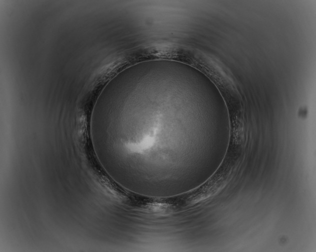 X0000100760748200806191207