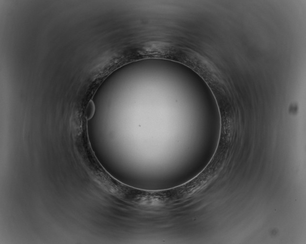 X0000100760751200806191207