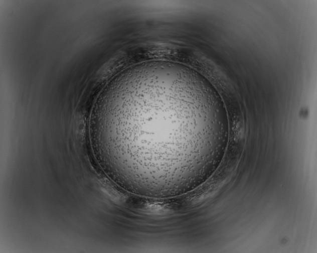 X0000100760753200806191207