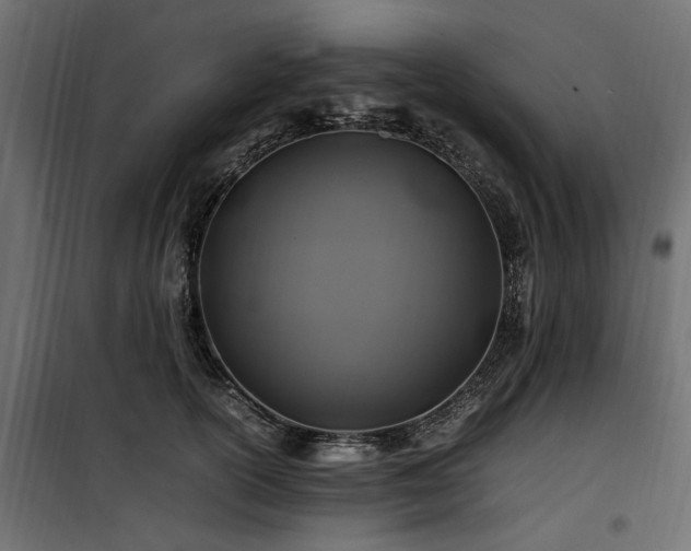 X0000100760754200806191207